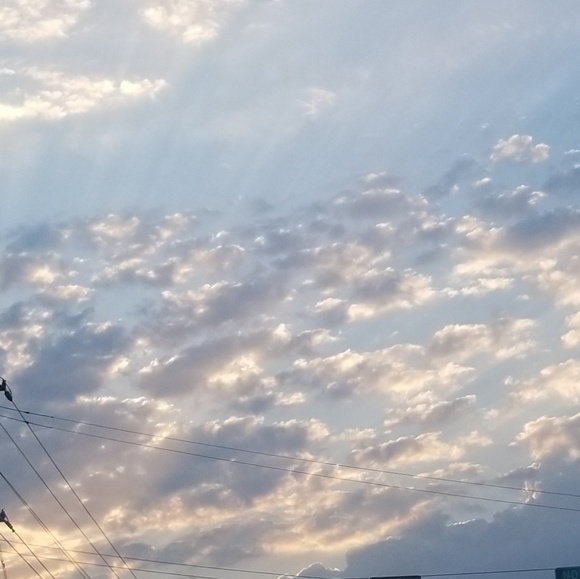 Meet your Posher, Jo - Picture 1 of 1